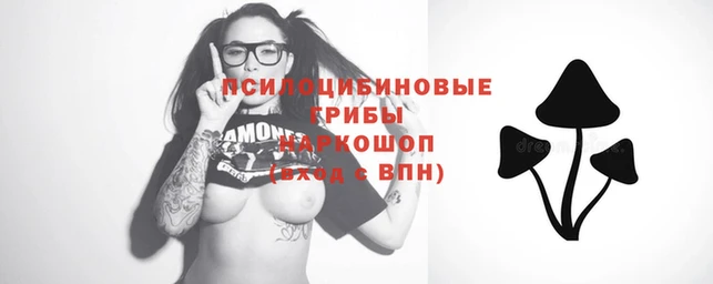 герыч Алзамай